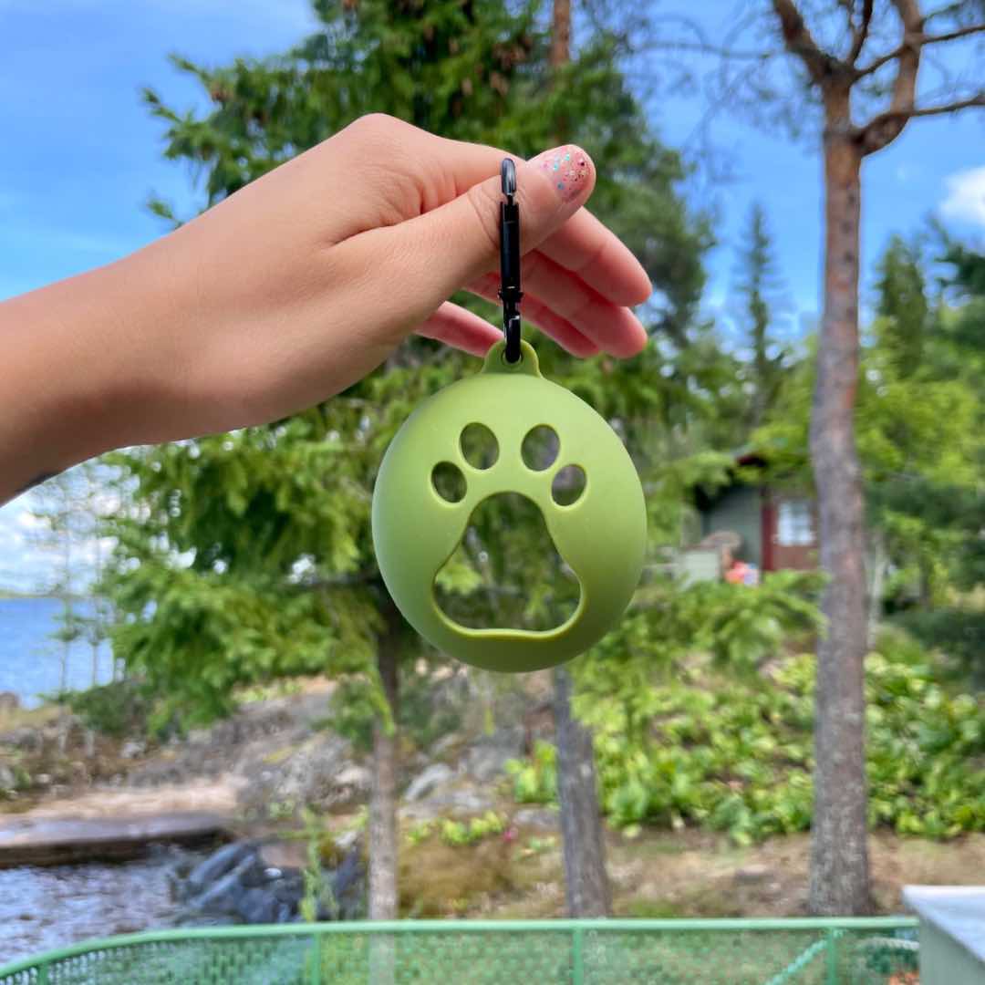 Grüner Ballhalter Birne mit Karabiner beim Spaziergang