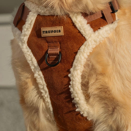 Teddy Hundegeschirr gepolstert für den Winter