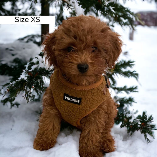 Teddy Hundegeschirr warm & gepolstert – Brownie