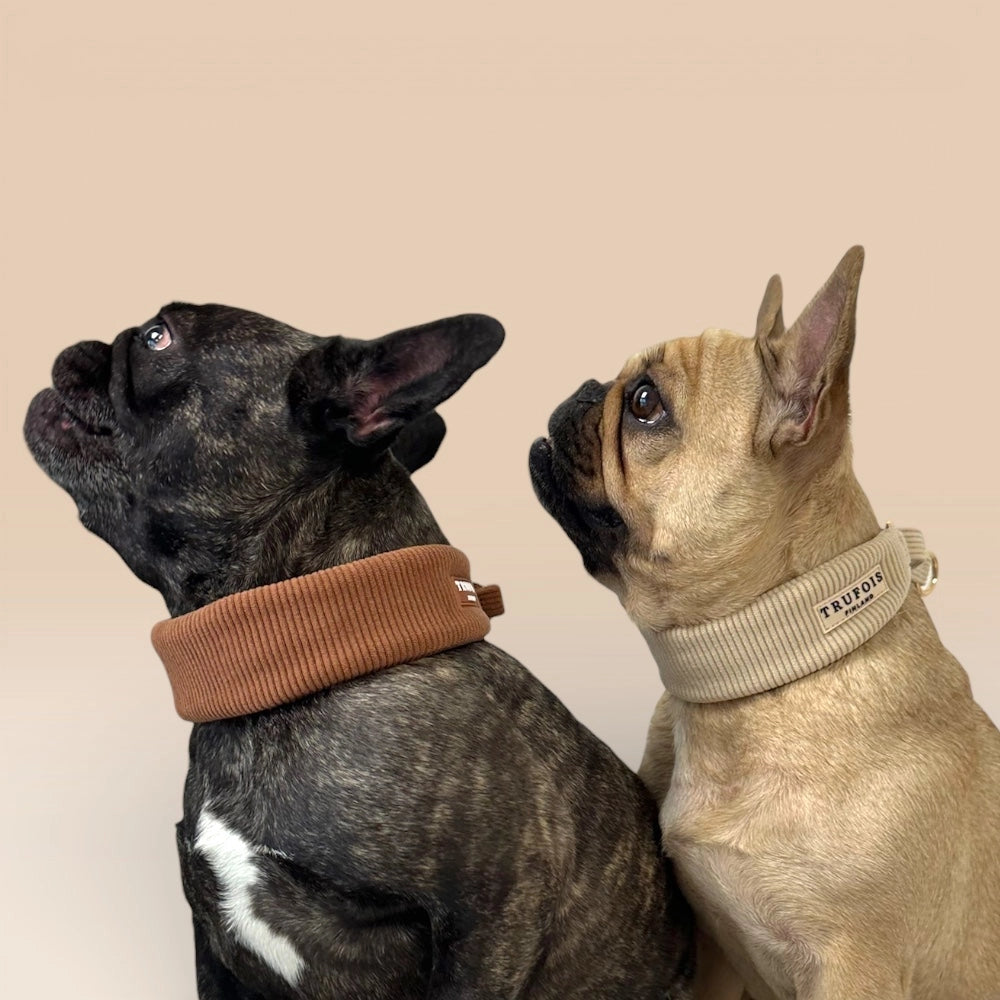 Zwei Hunde mit breiten Cord-Halsbändern Braun und Latte Beige