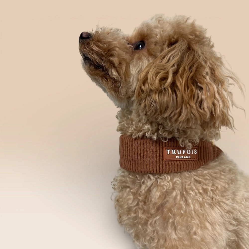 Hund mit breitem Cord-Halsband Macchiato-Braun