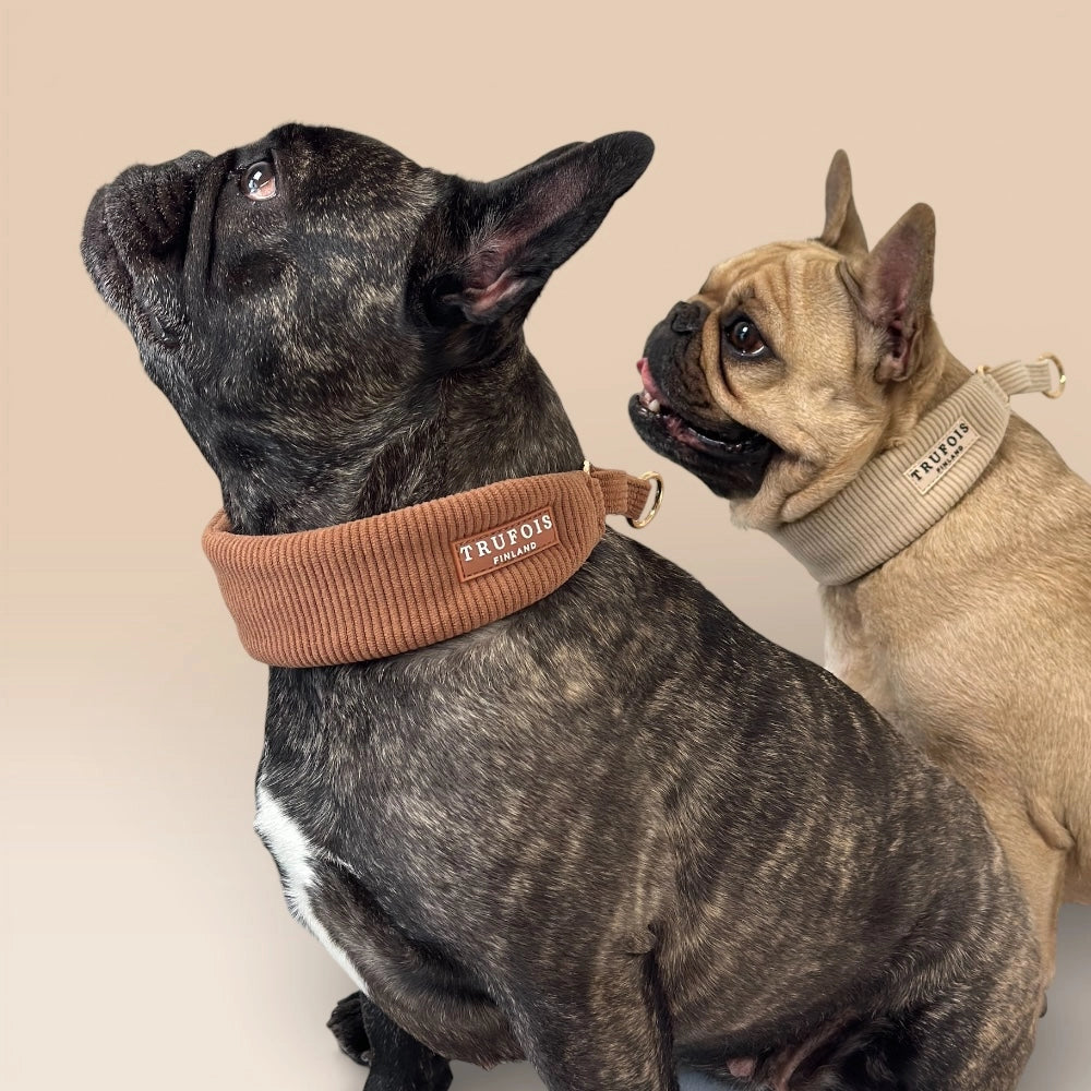 Zwei Hunde mit breiten Cord-Halsbändern Macchiato-Braun und Latte Beige