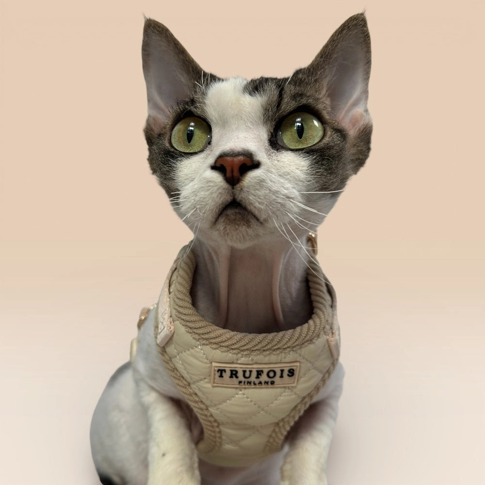 Katze mit Lite-Geschirr Latte Beige