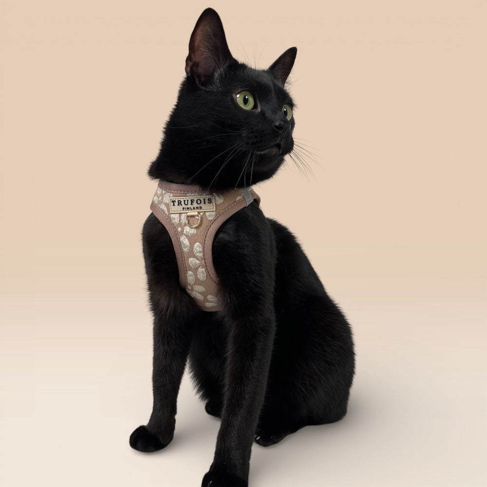 Schwarze Katze mit Step-In-Geschirr Chai