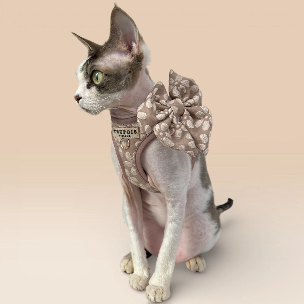 Katze mit Step-In-Geschirr Chai und Schleife