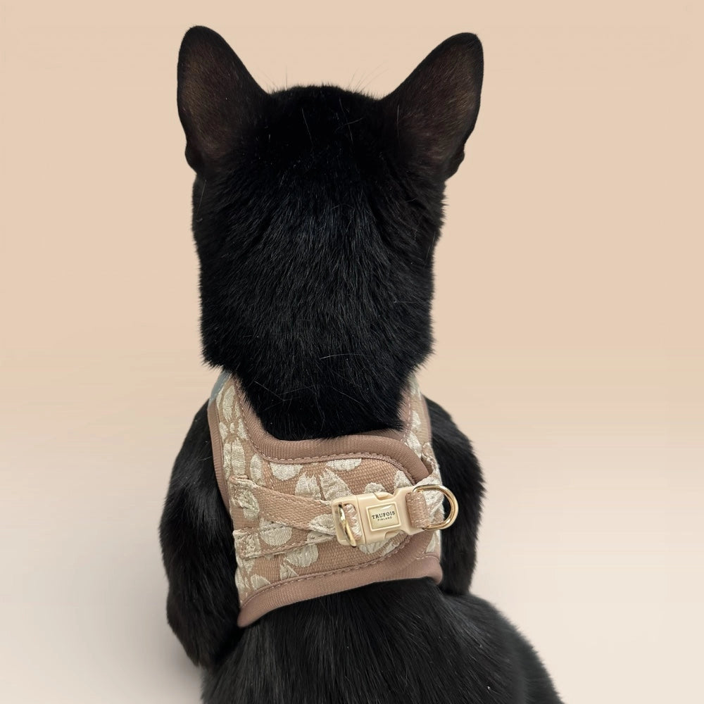 Rückenansicht Katze mit Step-In-Geschirr Chai