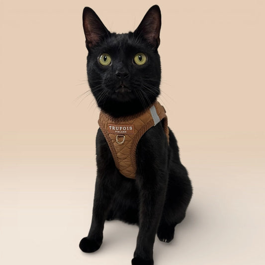 Schwarze Katze mit Step-In-Geschirr Macchiato Braun