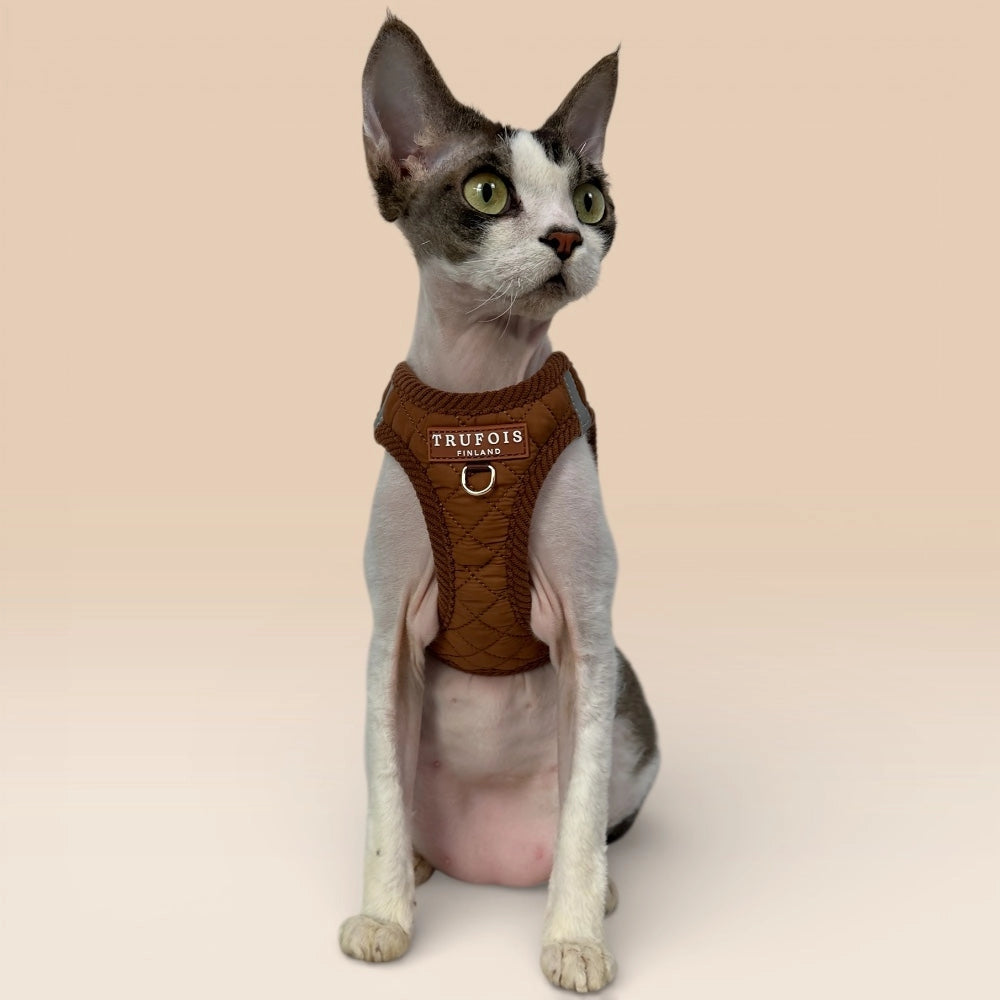 Katze sitzend mit Step-In-Geschirr Macchiato Braun