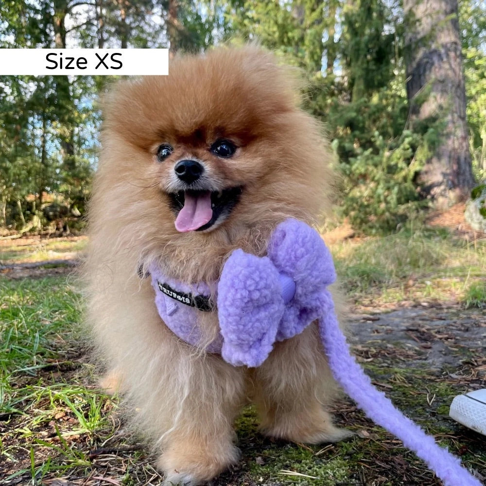 Kleiner Hund mit Teddy Lite Hundegeschirr Traube in Größe XS